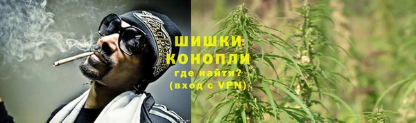 дмт Липки