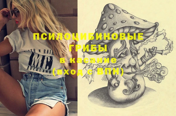 дмт Липки